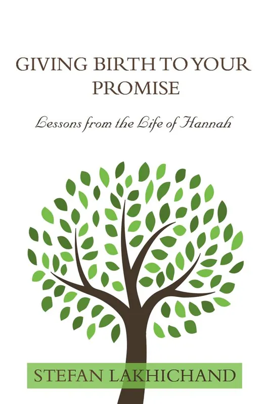 Giving Birth to your Promise / 1st Edition Merkproduct