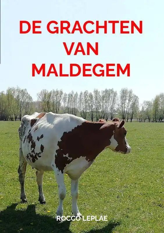 De grachten van Maldegem / Druk 1 Laatste Kans