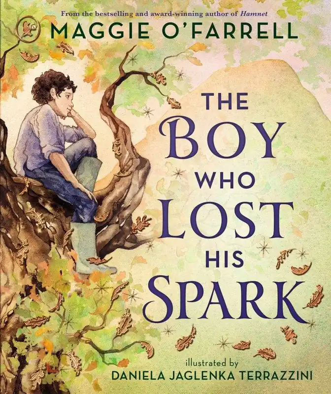 The Boy Who Lost His Spark Direct Verzonden