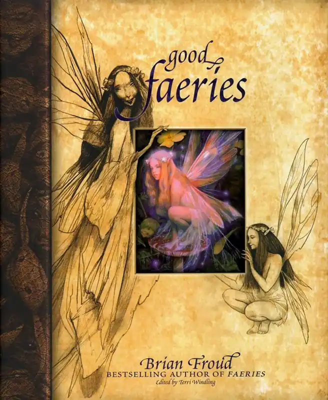 Good Faeries Bad Faeries / 1st Edition Bestseller