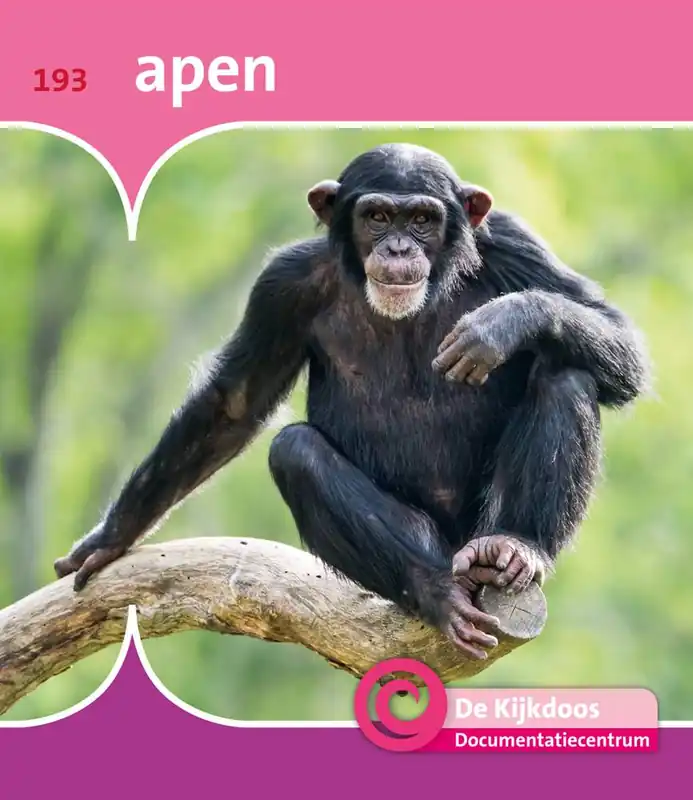 Apen / Druk 1 Shop Nu