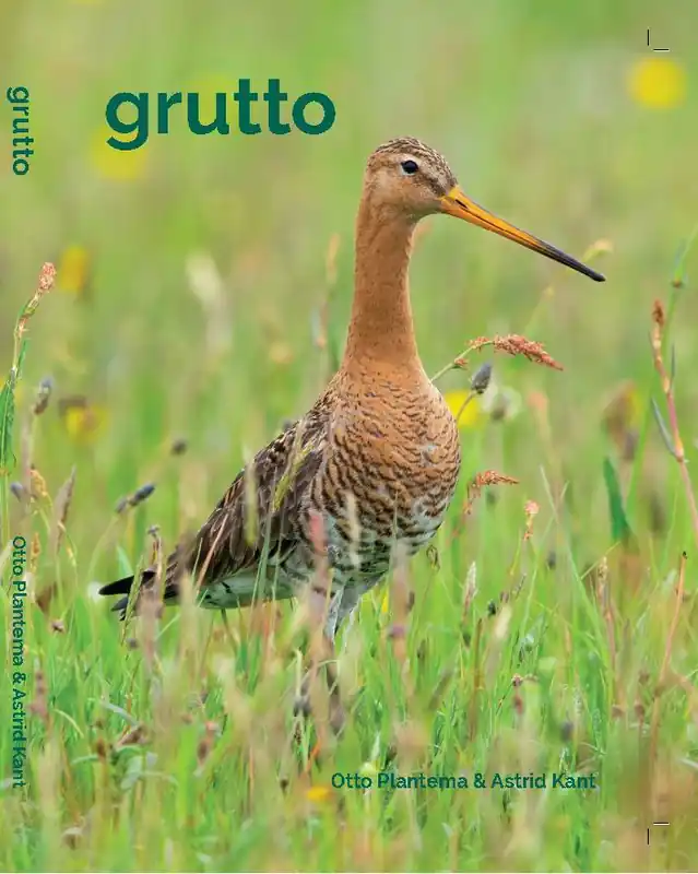 Grutto / Druk 1 Weekendaanbieding