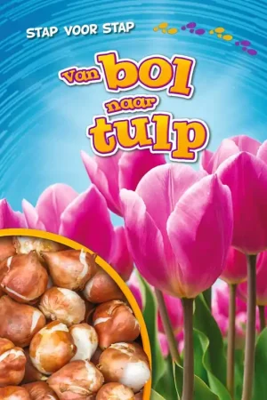 Betaalbaar Van bol naar tulp / Druk 1