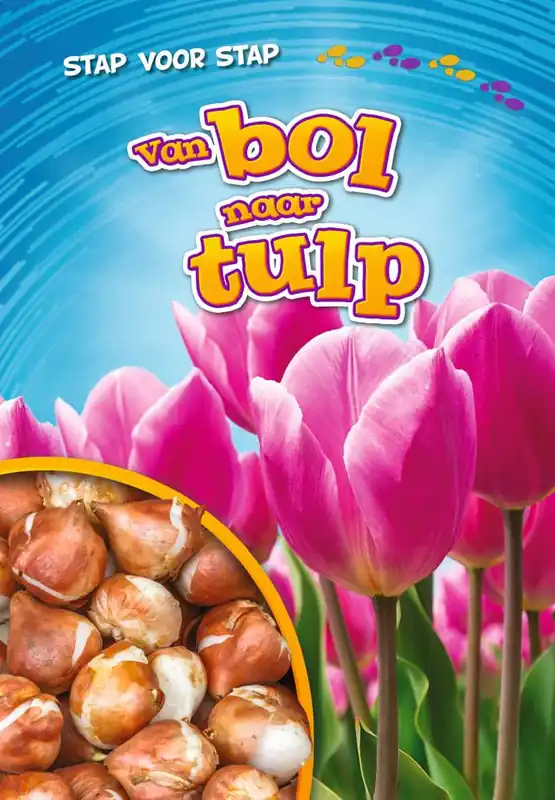 Betaalbaar Van bol naar tulp / Druk 1