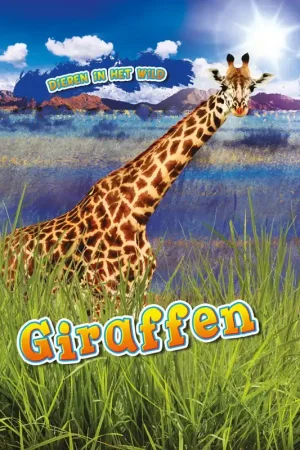Beste Prijs Giraffen / Druk 1