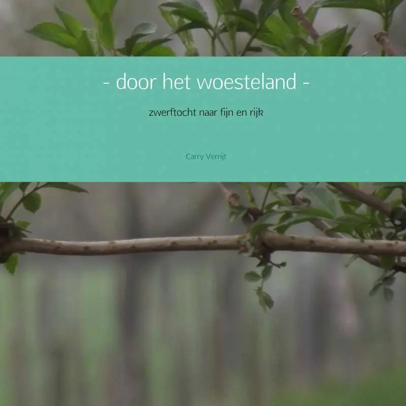 - door het woesteland - / Druk 1 Meest Verkocht