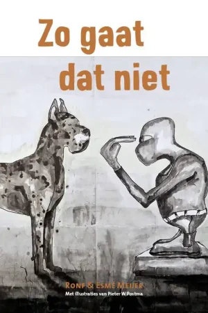 Zo gaat dat niet / Druk 1 Veilige Betaling