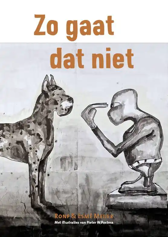 Zo gaat dat niet / Druk 1 Veilige Betaling