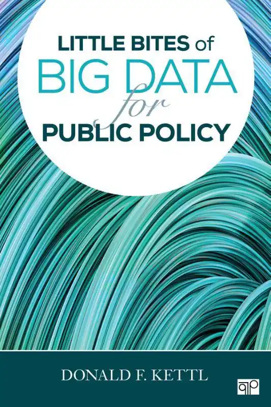 Aanbieding Little Bites of Big Data for Public Policy