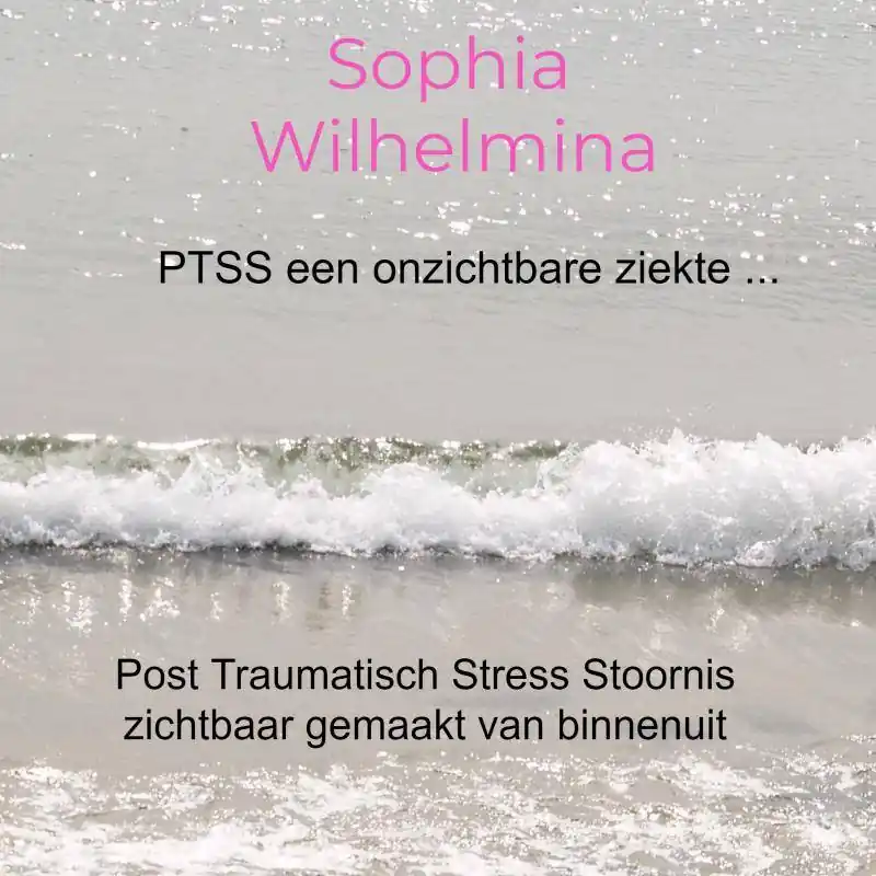 PTSS een onzichtbare ziekte ... / Druk 2 Beste Prijs