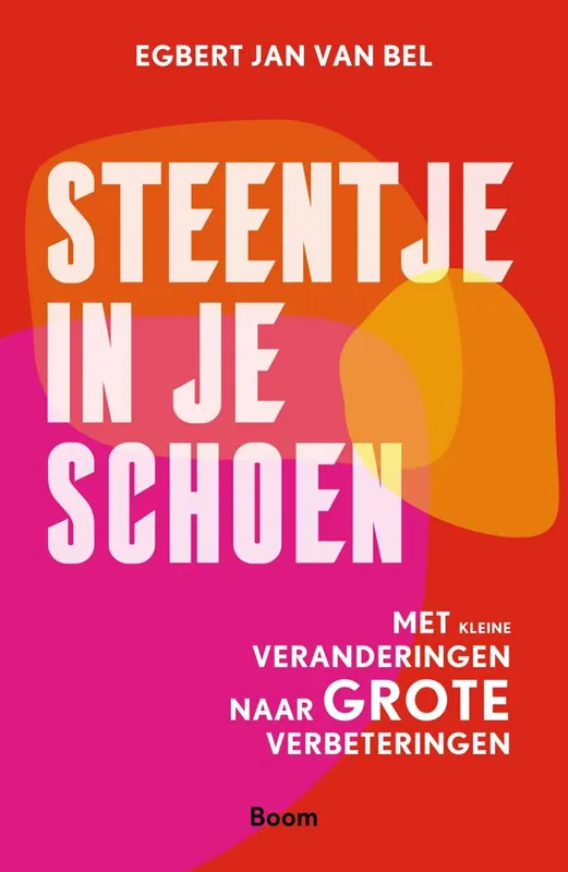 Steentje in je schoen / Druk 1 Exclusieve Aanbieding