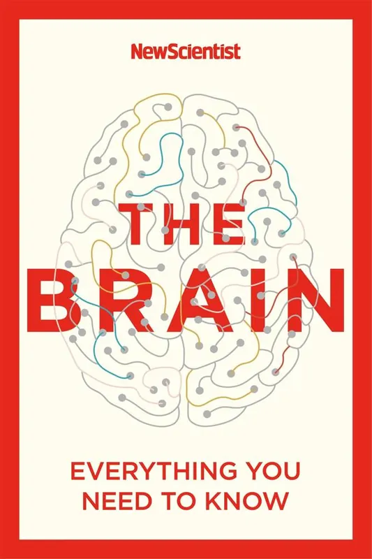 The Brain Seizoensaanbieding