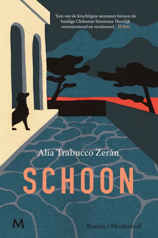 Schoon / Druk 1 Betaalbaar