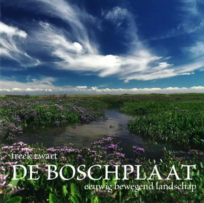 Lage Kosten De Boschplaat - Freek Zwart