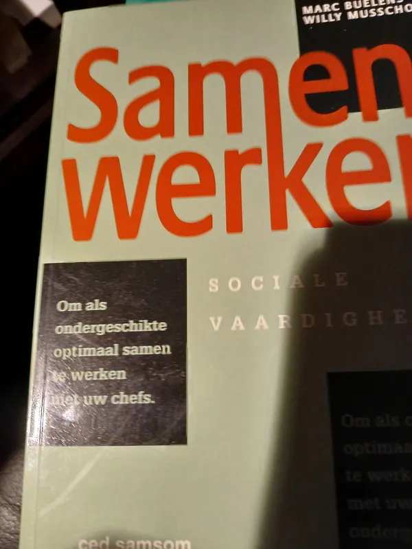 Gereduceerde Prijs Samen werken - Marc Buelens
