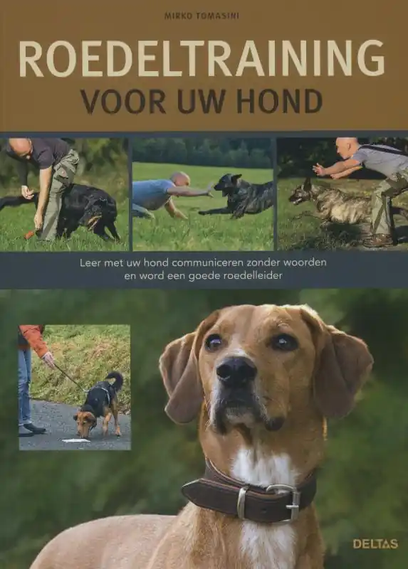 Roedeltraining voor uw hond - Mirko Tomasini Nieuw
