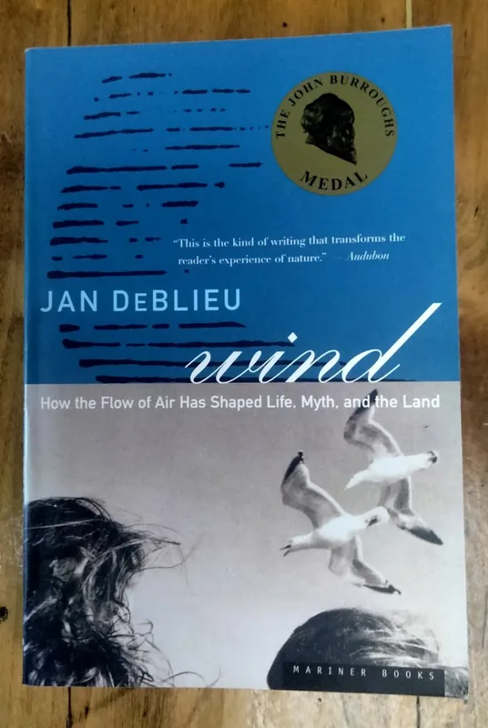 Lage Kosten Wind - Jan DeBlieu