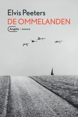 De ommelanden - Elvis Peeters Gratis Verzending