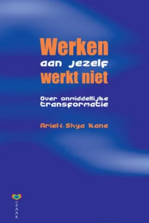Werken aan jezelf werkt niet - A. Kane; S. Kane Koop Vandaag