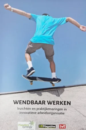 Wendbaar werken - Pol Bracke; Mieke Van Gramberen Beperkt Aanbod