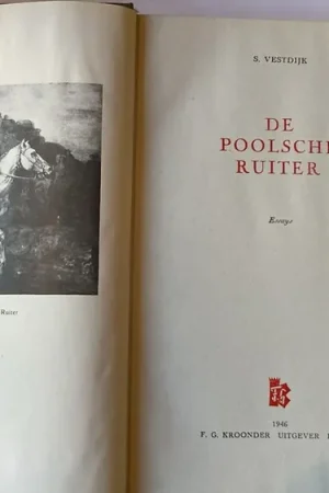 Superprijs De poolsche ruiter - Essays