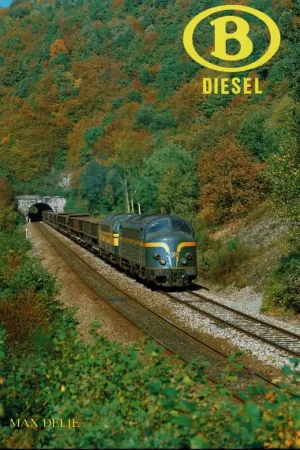 Snelle Levering B Diesel - Max Delie