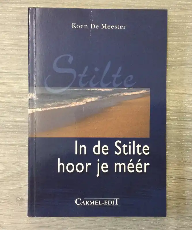 Aanbieding In de stilte hoor je meer - K. de Meester
