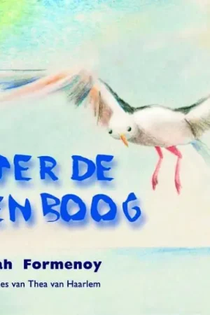 Achter de Regenboog - D.M.M. Formenoy Shop Nu