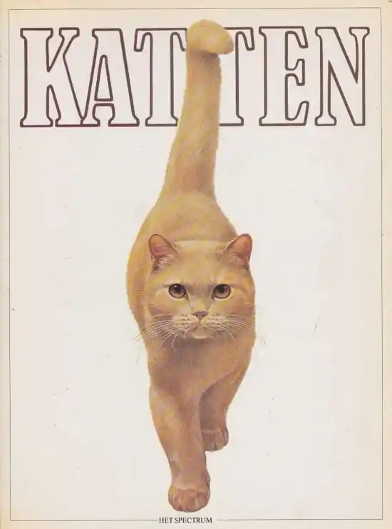 Nieuw Katten - Bruin