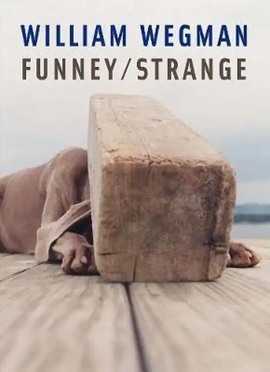 William Wegman - Joan Simon Must-Have