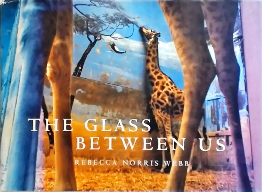 Populair The Glass Between Us - Rebecca Norris Webb
