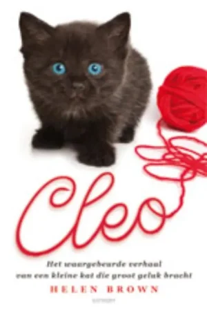 Cleo - H. Brown Lage Kosten