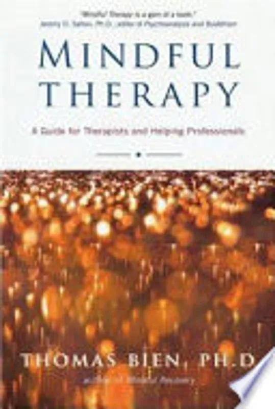 Mindful Therapy - Thomas Bien Ph.D. Superprijs