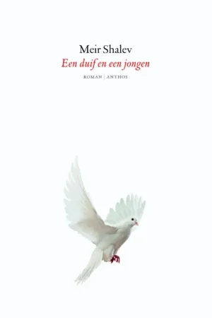 Bestseller Een duif en een jongen - Meir Shalev