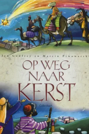 Op weg naar kerst - Jan Godfrey Flitsaanbieding