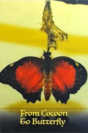 Uitverkoop From Cocoon to Butterfly - Nina
