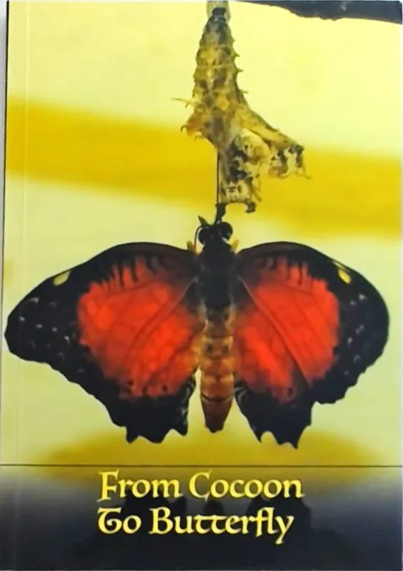 Uitverkoop From Cocoon to Butterfly - Nina