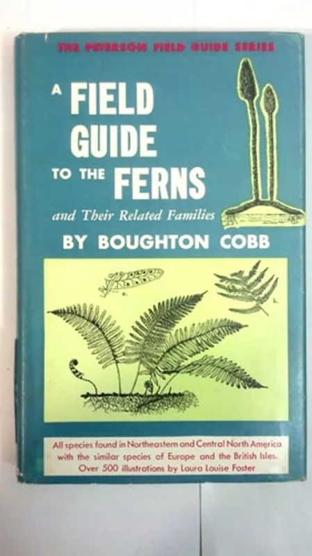 Korting A Field Guide to the Ferns and Their Related Families of Northeastern and Central North America - Boughton Cobb