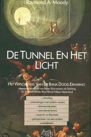 Seizoensaanbieding De tunnel en het licht - Raymond A. Moody