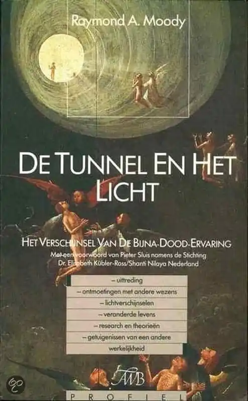 Seizoensaanbieding De tunnel en het licht - Raymond A. Moody