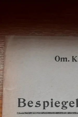 Gratis Verzending Bespiegelingen - Omer Karel De Laey