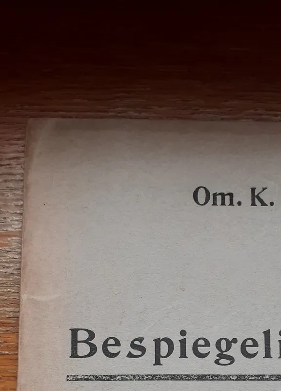 Gratis Verzending Bespiegelingen - Omer Karel De Laey