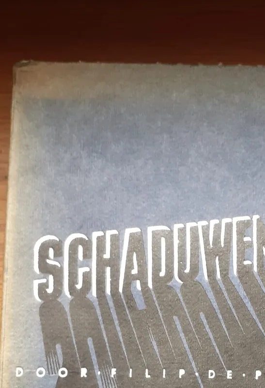 Populair Schaduwen - Filip de Pillecyn