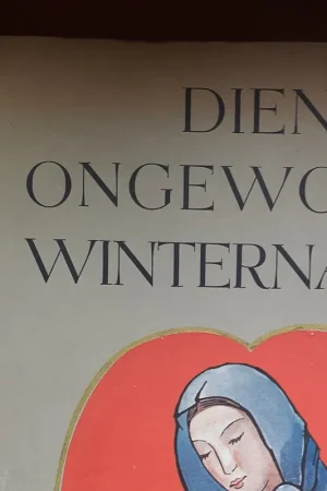 Actieprijs Dien ongewonen winternacht - Gaston Jos. Wallaert