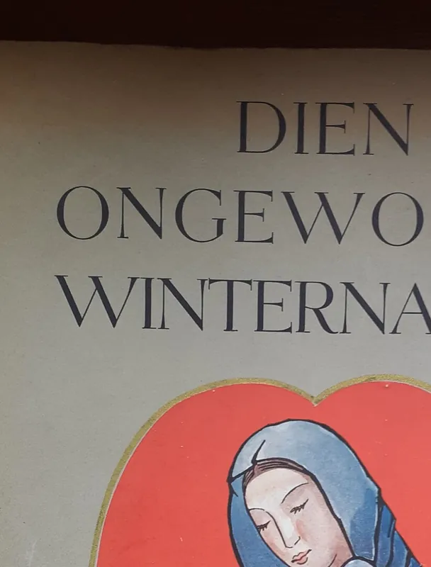 Actieprijs Dien ongewonen winternacht - Gaston Jos. Wallaert