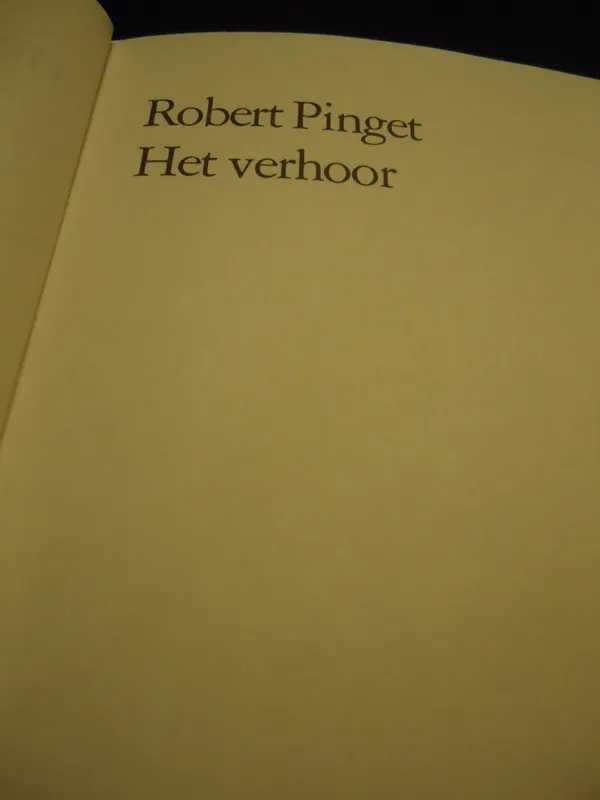 Express Levering Het Verhoor - Robert Pinget