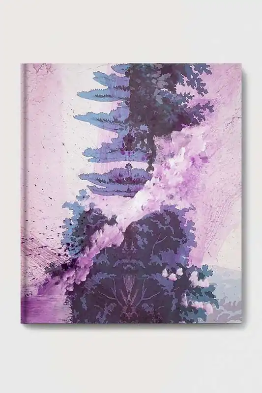 Re-Reading. Julian Schnabel - Brian Kelly, Joachim Pissarro, Eric Troncy, Cy Schnabel, e.a. Veilige Betaling