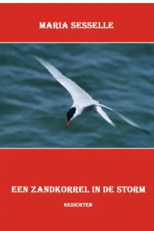 Een zandkorrel in de storm - M. Sesselle Seizoensaanbieding