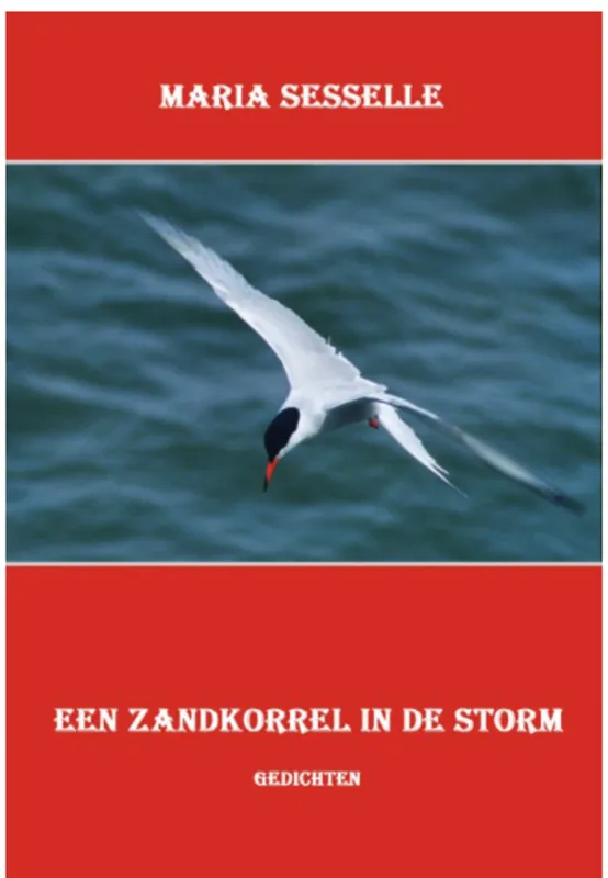 Een zandkorrel in de storm - M. Sesselle Seizoensaanbieding