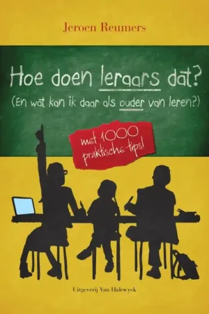 Bestel Nu Hoe doen leraars dat? - Jeroen Reumers